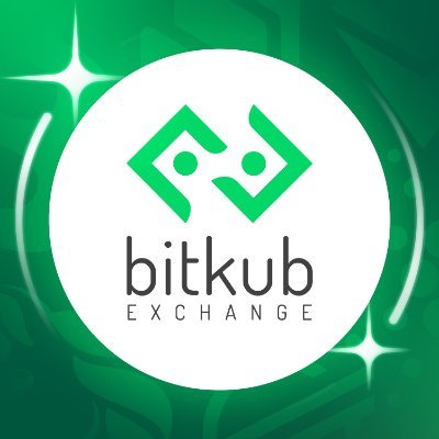 Bitkub (BITKUB) logo