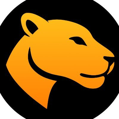 JagPool Staked SOL (JAGPOOL-ST) logo