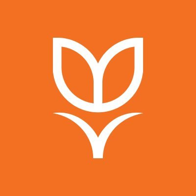 Tulipa Capital (TULIPA-CAP) logo